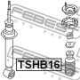 TSHB16